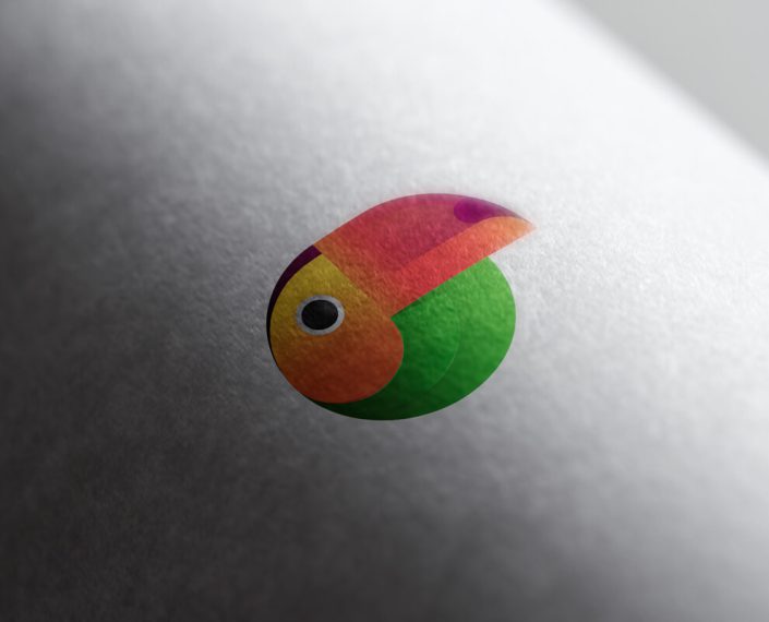 Toucan Agency Logo Design